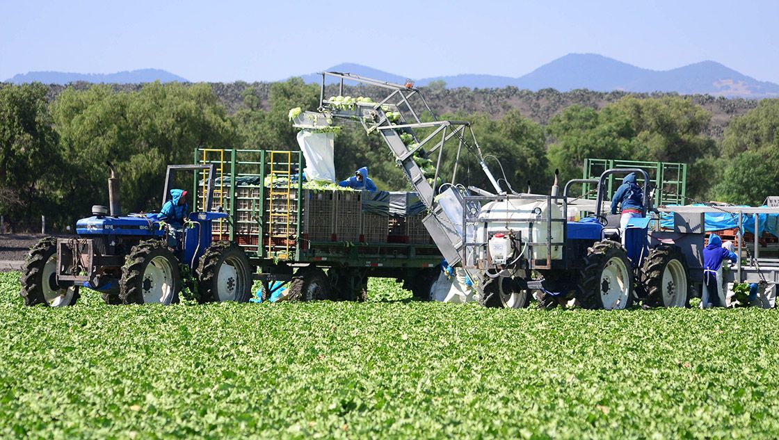 Garantías, clave para detonar financiamiento agropecuario