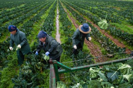 [Bloomberg]Representantes del gobierno de Holanda y de la Sagarpa de México se comprometieron a incrementar su relación e inversión en el ámbito agroalimentario. 