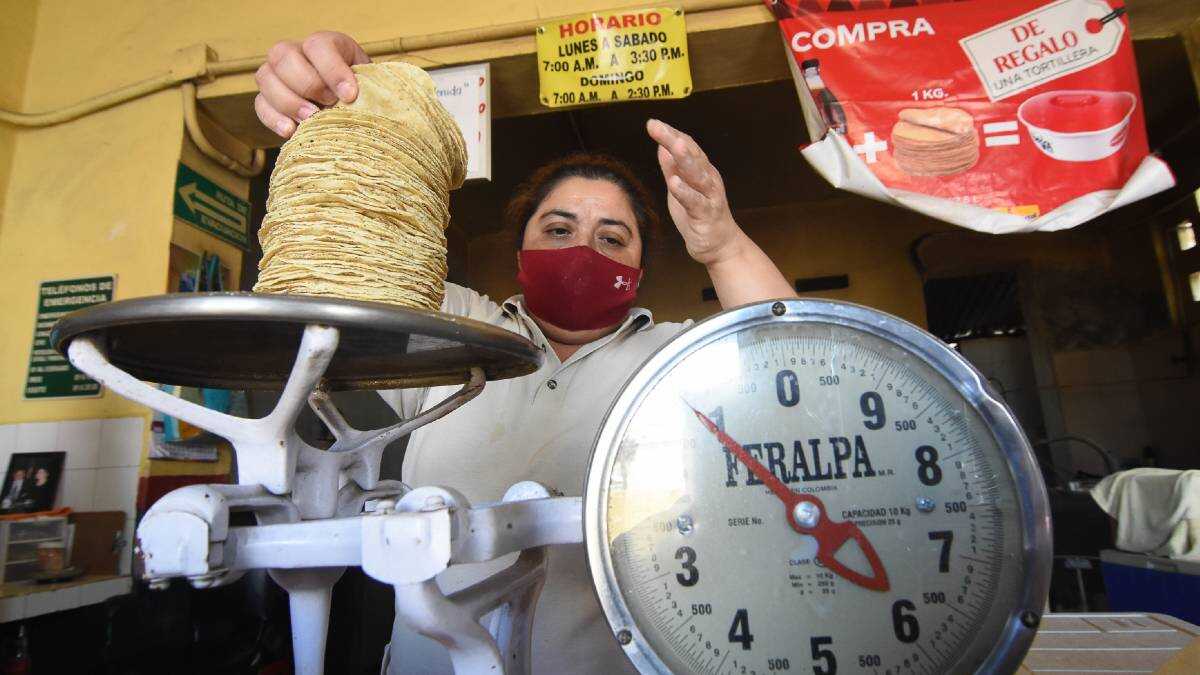 Millones de toneladas de maíz producidas en México caen en manos de especuladores | La Crónica de Hoy