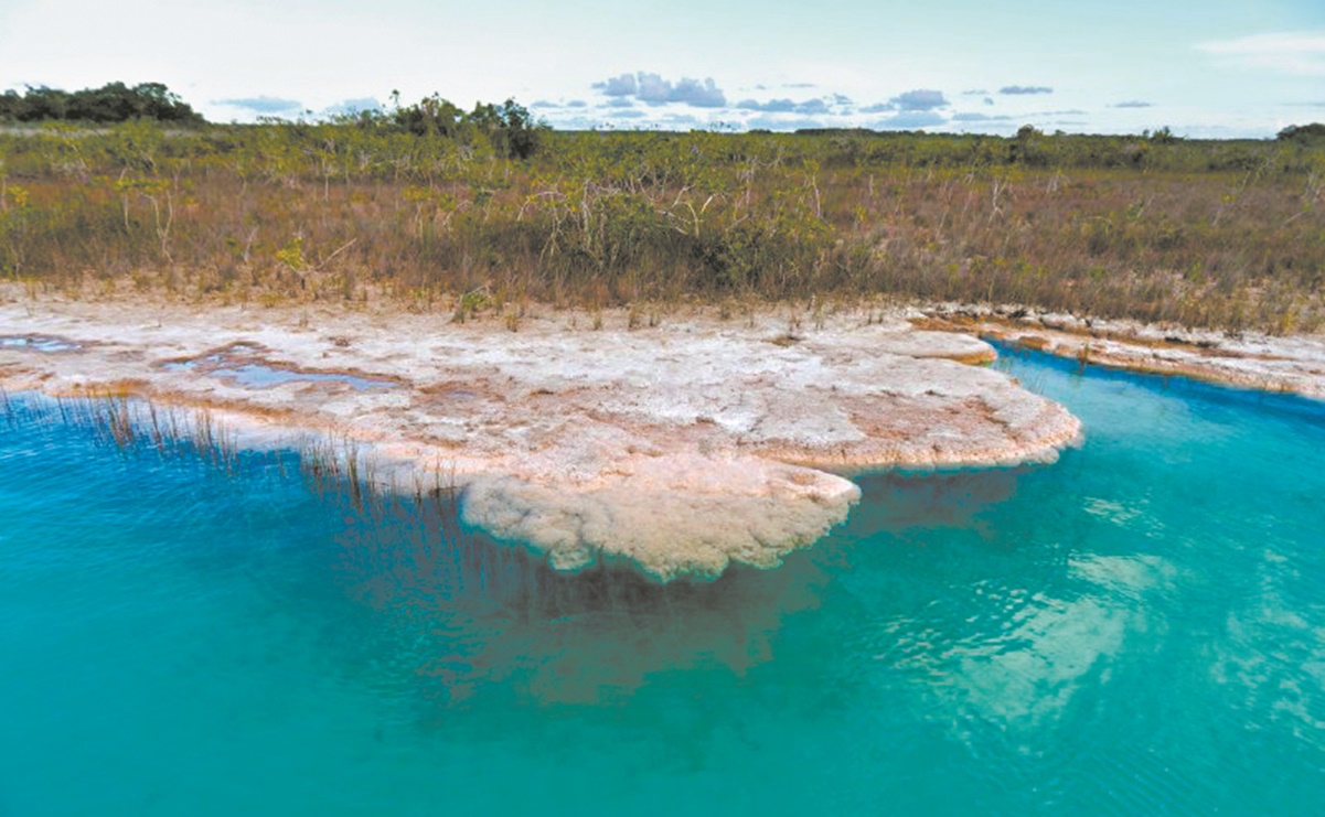 Impulsan uso de suelo sustentable en Quintana Roo