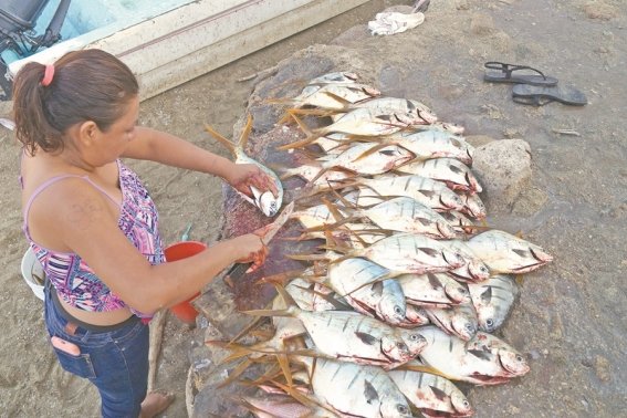 pescadores_de_puerto_angel_oaxaca_123027926.jpg