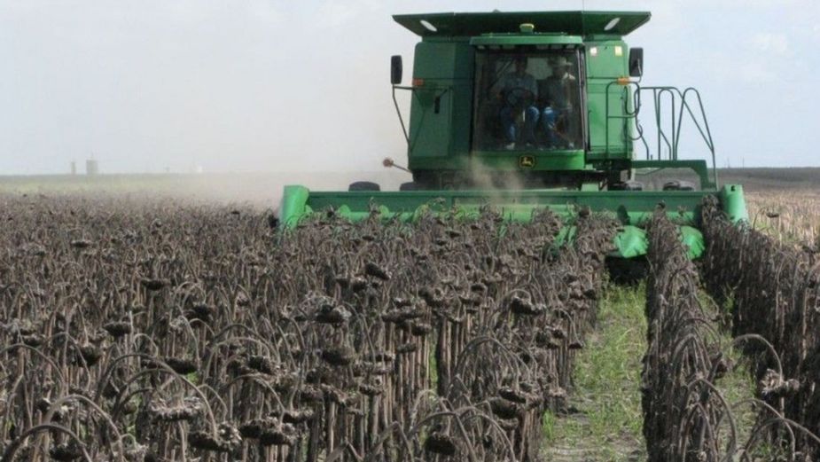 Siembras del norte en peligro de producción por falta de agua